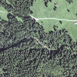 Satellite imagery of Längenschwandgrat, CH