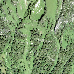 Satellite imagery of Huser Stock, CH