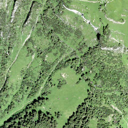 Satellite imagery of Bärenegg, CH