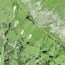 Satellite imagery of Bärenegg, CH