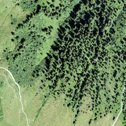 Satellite imagery of Planggstock, CH