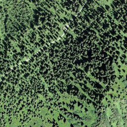 Satellite imagery of Wannentritt, CH
