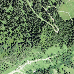 Satellite imagery of Schwarz Stock, CH