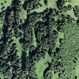 Satellite imagery of Höch Gütsch, CH