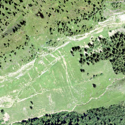 Satellite imagery of Chalbertalstock, CH