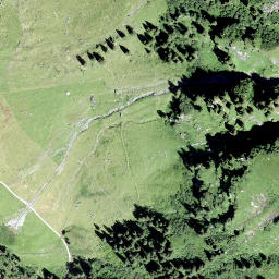 Satellite imagery of Füdlechöpf, CH