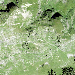 Satellite imagery of Siwellen, CH