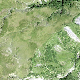 Satellite imagery of Spitzänegg, CH