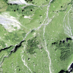 Satellite imagery of Spitzänegg, CH