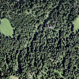 Satellite imagery of Horn, CH