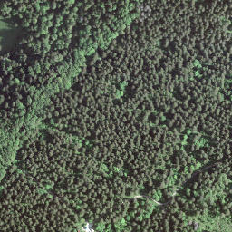 Satellite imagery of BFN131, CH