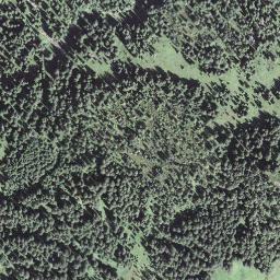 Satellite imagery of Längenschwandgrat, CH
