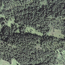 Satellite imagery of Längenschwandgrat, CH