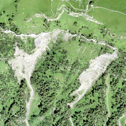 Satellite imagery of Bärenegg, CH