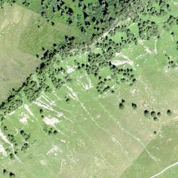 Satellite imagery of Wannentritt, CH