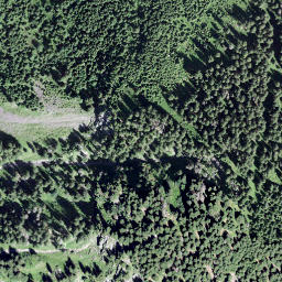 Satellite imagery of Schönau, CH