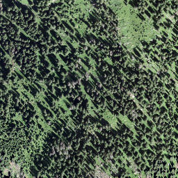 Satellite imagery of Schönau, CH