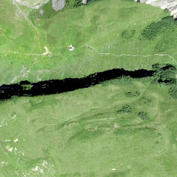 Satellite imagery of Muttenchopf, CH