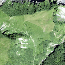 Satellite imagery of Muttenchopf, CH
