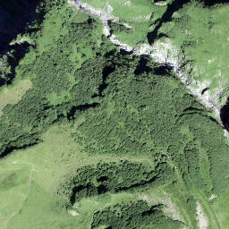 Satellite imagery of Piltschinabüchel, CH
