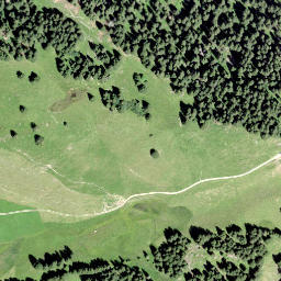 Satellite imagery of Horn, CH