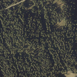 Satellite imagery of Fuorcla Curschiglias, CH