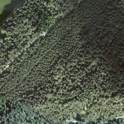 Satellite imagery of BFN137, CH
