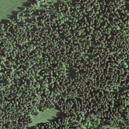 Satellite imagery of Mont Brenin, CH