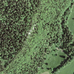 Satellite imagery of Mont Brenin, CH
