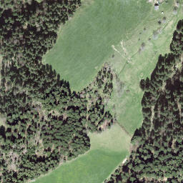 Satellite imagery of Brantenegg, CH