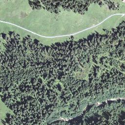Satellite imagery of Längenschwandgrat, CH