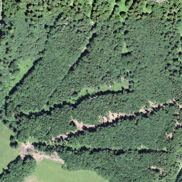 Satellite imagery of Bärenegg, CH