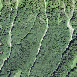 Satellite imagery of Bärenegg, CH