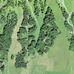 Satellite imagery of Klingenstock, CH