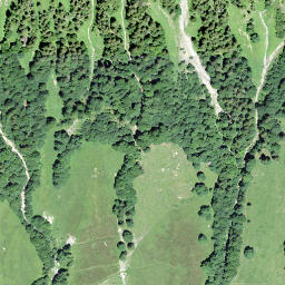 Satellite imagery of Hängst, CH