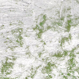 Satellite imagery of Brunalpelihöchi, CH