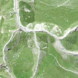 Satellite imagery of Piltschinabüchel, CH