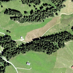 Satellite imagery of Horn, CH