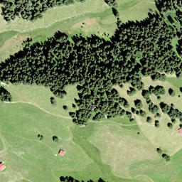 Satellite imagery of Horn, CH