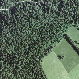 Satellite imagery of BFN137, CH