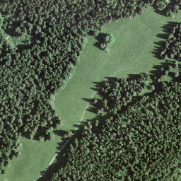 Satellite imagery of Mont Brenin, CH