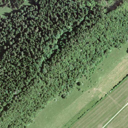 Satellite imagery of Mont Brenin, CH