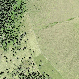 Satellite imagery of Schönau, CH