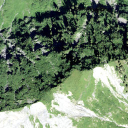 Satellite imagery of Wasegg, CH