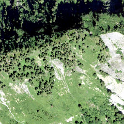 Satellite imagery of Wasegg, CH