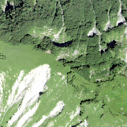 Satellite imagery of Fanenstock, CH