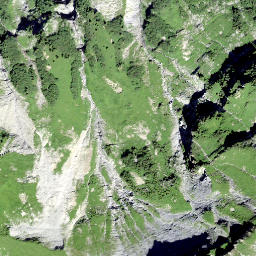 Satellite imagery of Fanenstock, CH