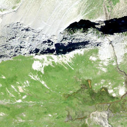 Satellite imagery of Plattenfirst, CH