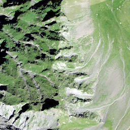 Satellite imagery of Piltschinabüchel, CH