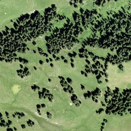 Satellite imagery of Schwänzelegg, CH